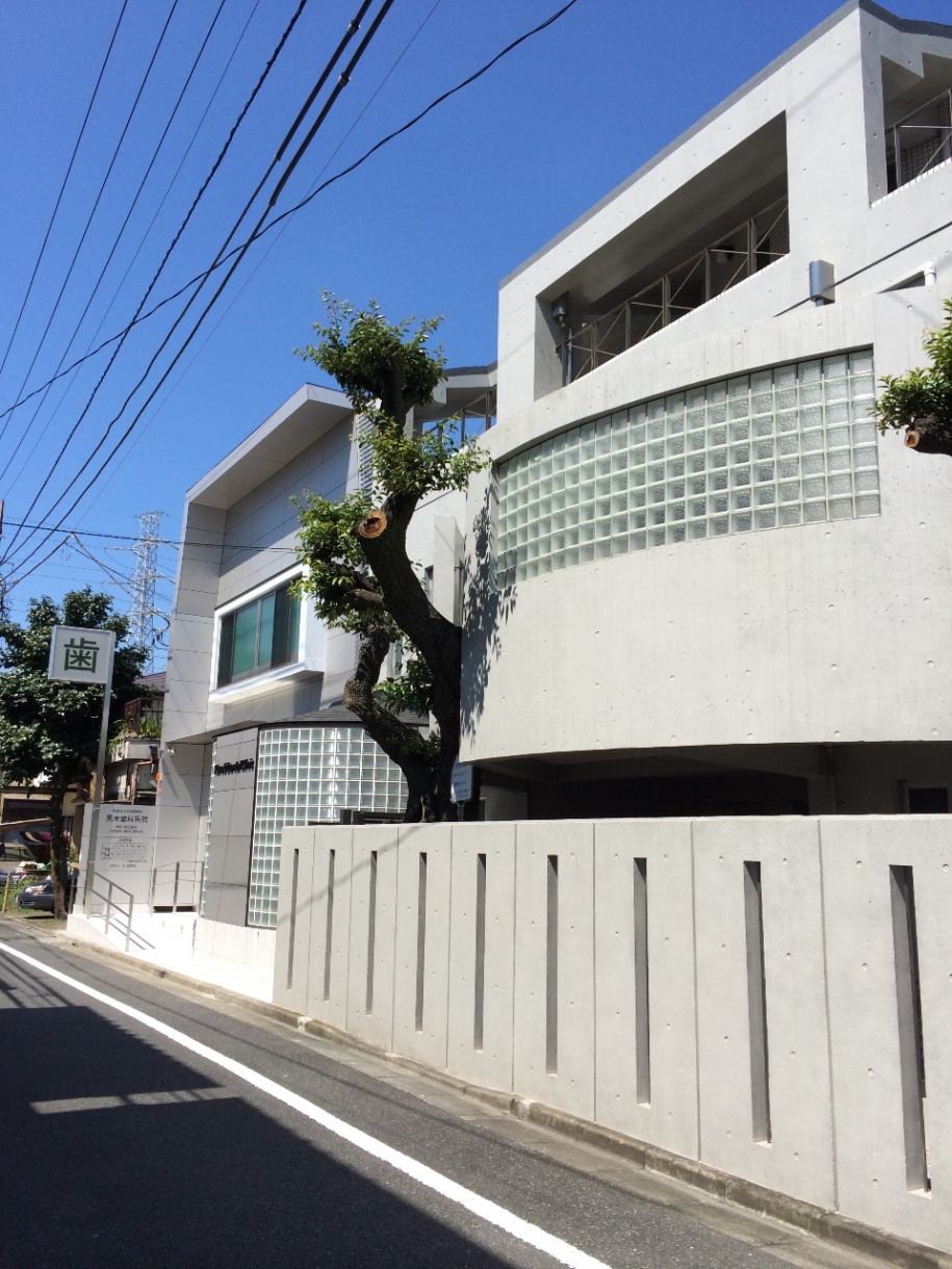 外観1：診療所+住宅
